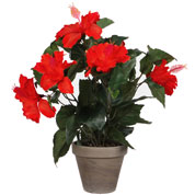 plante artificielle - hibiscus rouge - mica